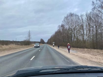 Камеры контроля скорости установят в Палкинском районе