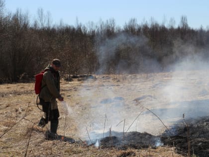 Полистовский заповедник патрулируют с помощью беспилотников во время пожароопасного сезона