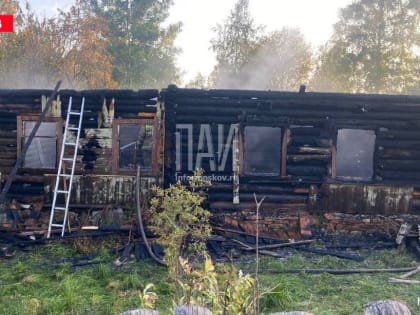 Пенсионерка погибла при пожаре в Палкинском районе