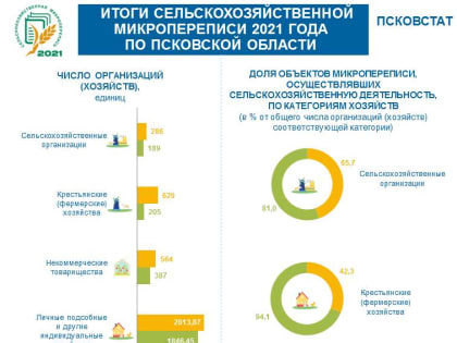 Емкости складов и сооружений для хранения зерна увеличили в Псковской области