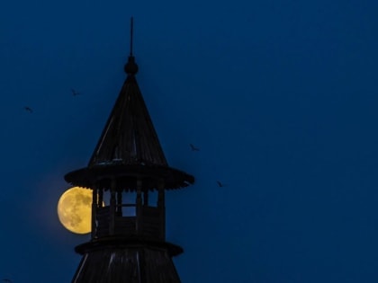 «Испуганную птицами» Луну сфотографировал псковский астроном-любитель