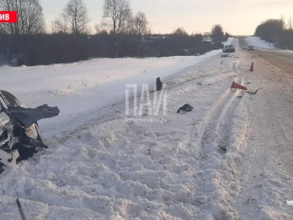 Два автомобиля вылетели в кювет на трассе Санкт-Петербург – Киев