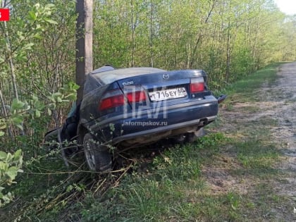 Жители Дновского района остались без электричества из-за ДТП