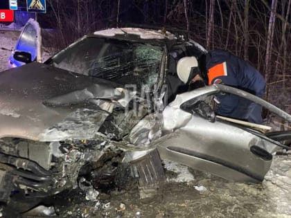 В Псковском районе в ДТП погиб водитель
