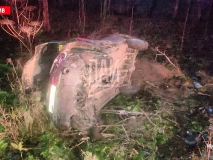 Два человека пострадали в ДТП в Гдовском районе