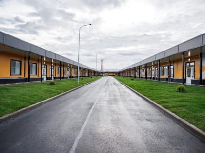 Заболеваемость ОРВИ незначительно снизилась в Псковской области