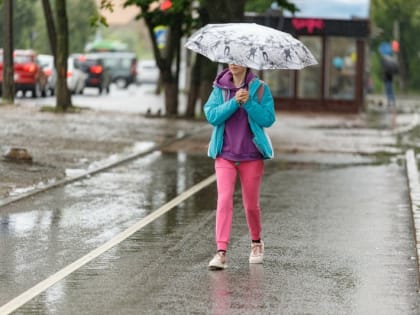 Дожди и до +27 градусов прогнозируют в Псковской области 3 августа