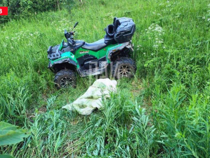 Подросток погиб от столкновения с деревом в Опочецком районе