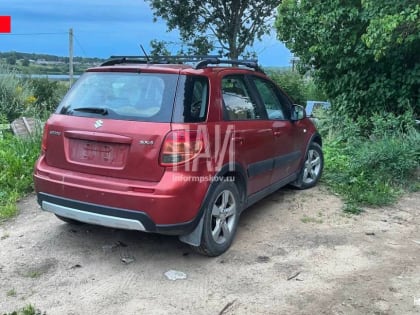 Заступившегося за собак мужчину сбила машина в Псковском районе