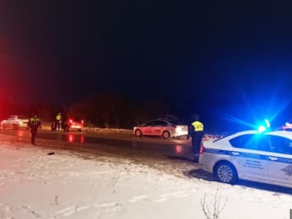Более 20 нарушений правил перевозки детей выявила ГИБДД в Великих Луках