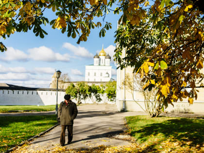 Тёплую погоду с дождями и ветрами прогнозируют в Псковской области 14 октября