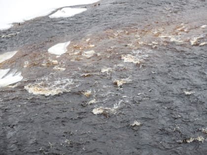 Пропавшего человека в Островском районе будут искать водолазы