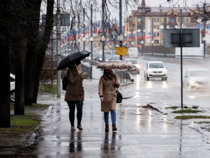 Псковская область встречает первый осенний шторм