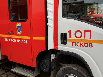 Баня сгорела в Псковской области