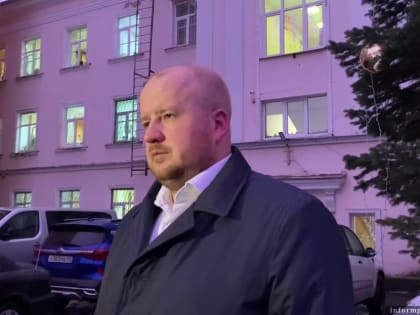 Ситуацию с вывозом мусора в Пскове прокомментировал Борис Елкин