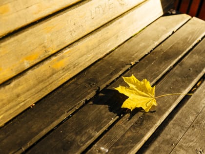 До +23 градусов ожидается сегодня в Пскове