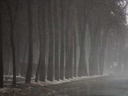 Мокрый снег пройдет в Псковской области 2 января