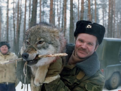 Псковичам напомнили о новой обязанности по отчетности для выдачи разрешений на охоту