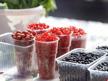 Самые полезные летние ягоды назвала диетолог