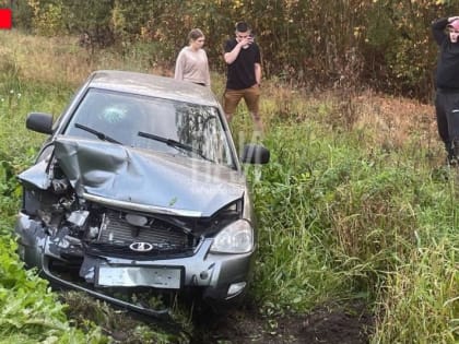 Два человека пострадали в ДТП в Палкинском районе