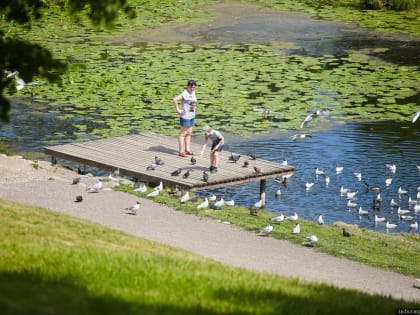 Какая погода будет этим летом в Псковской области, рассказала метеоролог