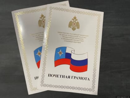 Сотрудников госмедиахолдинга Псковской области чествовали сегодня в МЧС