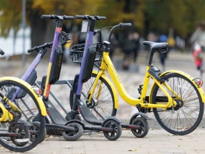 В Госдуме предложили ввести номера для курьеров-самокатчиков