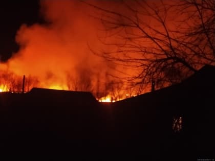 Пал травы произошёл на берегу Шелони в Порхове