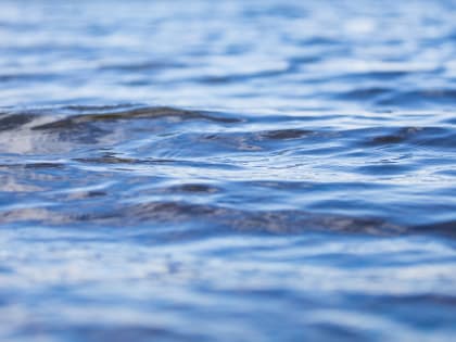 Тело мужчины нашли на берегу реки вблизи радиозавода в Пскове