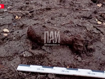 Мину времён ВОВ обнаружили в Псковском районе