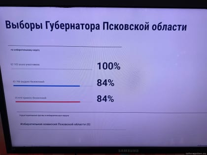 84% подавших заявление на ДЭГ псковичей проголосовали на губернаторских выборах
