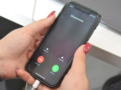 Стружанин лишился полумиллиона рублей в попытках заработать на инвестициях