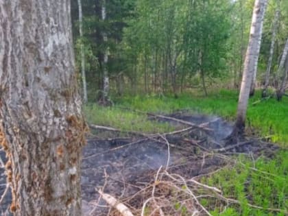 Торфяной пожар тушат в Куньинском районе