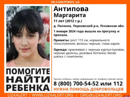 Надворные постройки осмотрят в порховской деревне Полоное в поисках пропавшей девочки