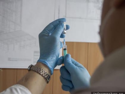 О влиянии импортозамещения на наличие ветеринарных препаратов рассказали псковичам