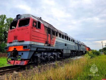 Псковская «Ласточка» задерживается на 2 часа из-за возгорания тепловоза в Моглино