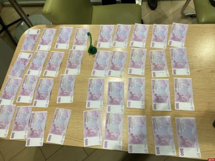 Контрабанду почти 100 тысяч евро пресекли сотрудники ФСБ в Псковской области