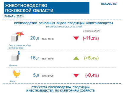 Производство яиц и птицы упало в Псковской области