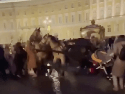 На главной площади Санкт-Петербурга лошадь врезалась в толпу людей