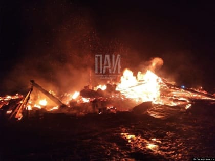 40 человек погибли при пожарах в Псковской области за пять месяцев