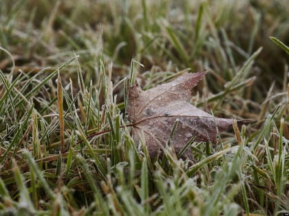 Похолодание придёт в Псковскую область на следующей неделе