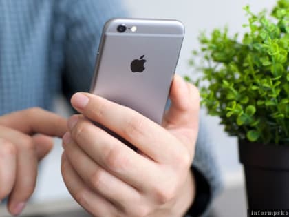 Фермерские продукты теперь можно заказать с доставкой к поезду