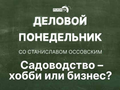 Начинается видеотрансляция программы «Деловой понедельник»