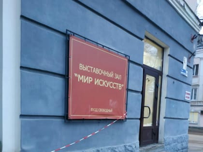 «Отвратительная жестокость»: в центре Великих Лук нашил кота с открытым переломом и связанной лапой