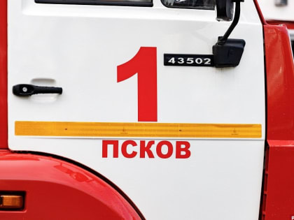 Жилой дом сгорел в Новоржевском районе