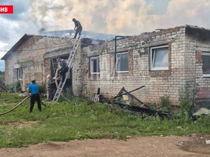 Скотный двор сгорел в Плюсском районе