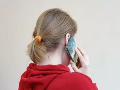 Шесть пользователей «Госуслуг» из Псковской области пострадали от злоумышленников