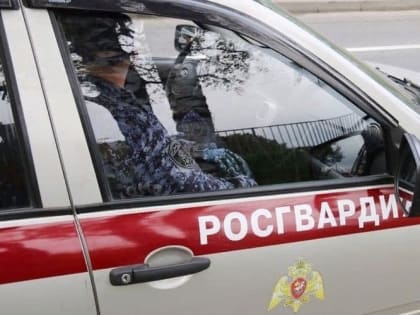 Девять единиц оружия изъяли росгвардейцы у псковичей