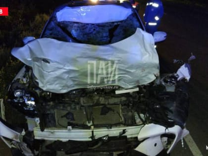 Девушку госпитализировали после столкновения автомобиля с лосем