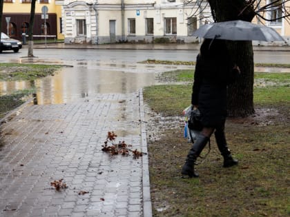 Дождь и до +10 градусов прогнозируют в Псковской области 7 ноября
